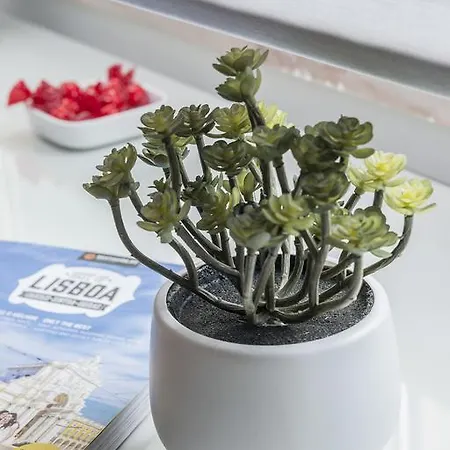 Republica ליסבון